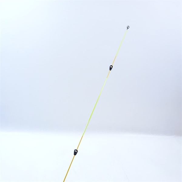 ２１アオリスタ５００